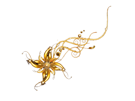 patternsflower